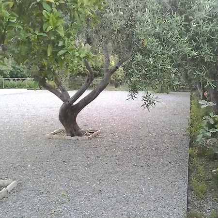 B&B Il Giardino di Zefiro-3